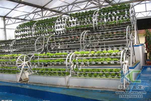 無土栽培技術(shù),無土栽培,溫室大棚,蔬菜大棚