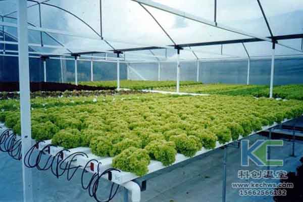 無土栽培技術,無土栽培設備,無土栽培,溫室大棚
