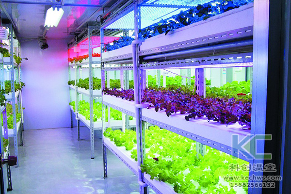 無土栽培技術(shù)，無土栽培設(shè)備，無土栽培，溫室大棚