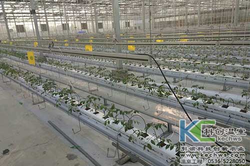 無(wú)土栽培,無(wú)土栽培技術(shù),無(wú)土栽培設(shè)備
