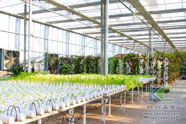 無土栽培，無土栽培技術，無土栽培設備