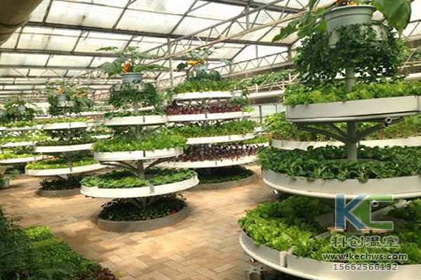 蔬菜無土栽培，無土栽培技術(shù)，無土栽培設(shè)備，無土栽培