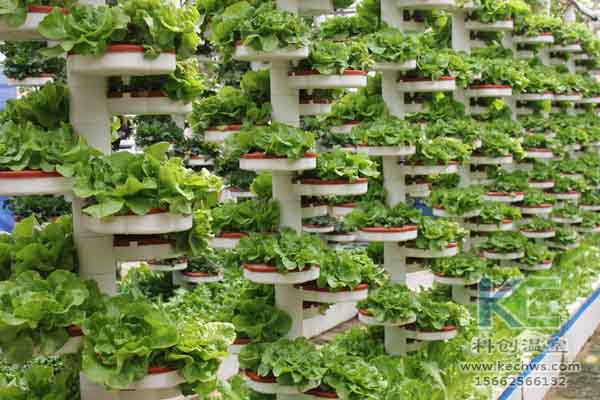 無土栽培技術，無土栽培設備，無土栽培，溫室大棚