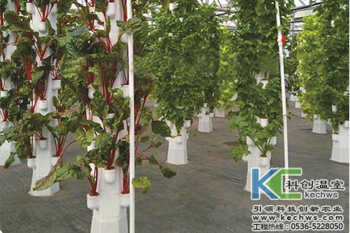 立體，無土栽培，無土栽培技術