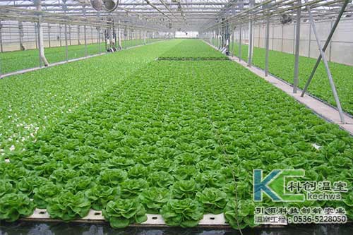 無(wú)土栽培，無(wú)土栽培技術(shù)，無(wú)土栽培設(shè)備