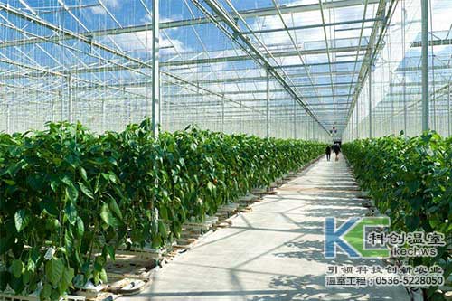無土栽培，無土栽培技術(shù)，無土栽培設(shè)備