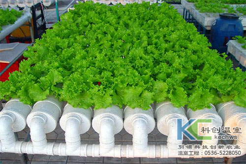 無土栽培，無土栽培技術，無土栽培設備