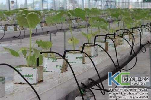 無土栽培，無土栽培技術(shù)，無土栽培設備