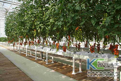 無土栽培，無土栽培技術(shù)，無土栽培設備