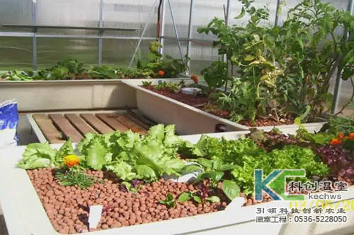 無土栽培，無土栽培技術(shù)，無土栽培設(shè)備