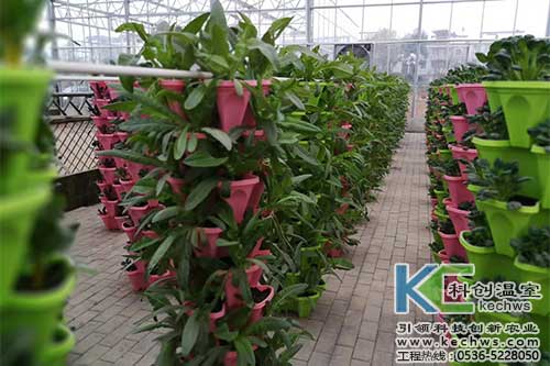 無土栽培，無土栽培技術，無土栽培設備