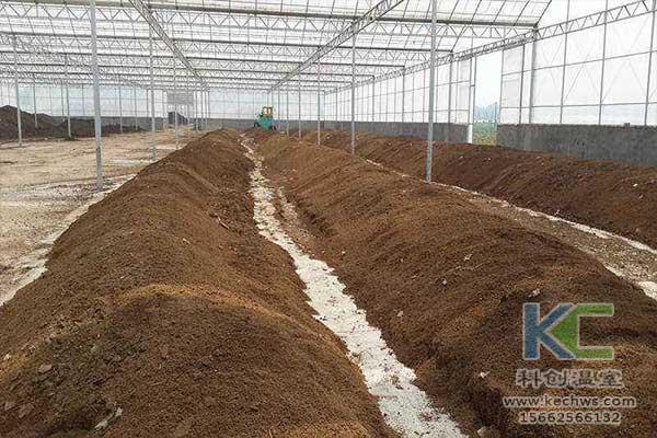 無土栽培,無土栽培技術,無土栽培設備