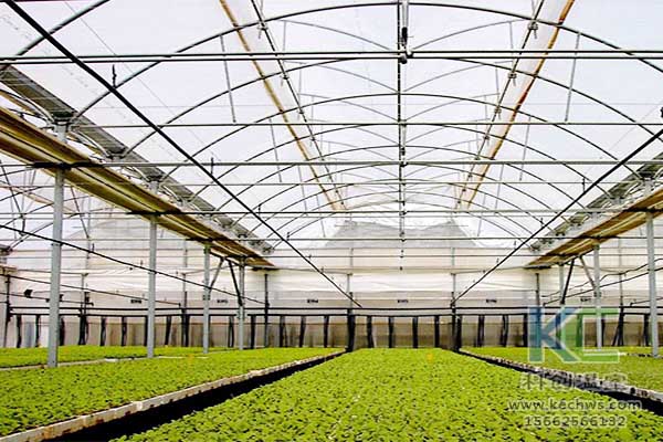 無土栽培，無土栽培技術(shù)，無土栽培設(shè)備