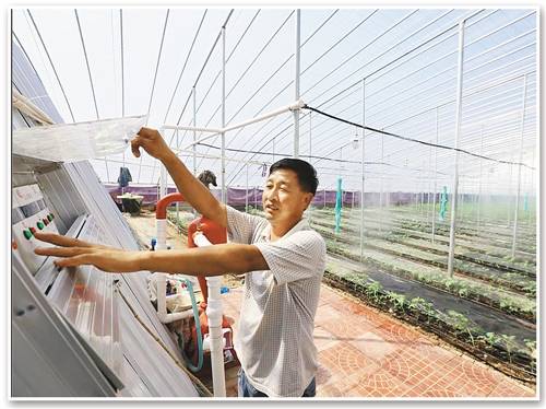 無土栽培,無土栽培技術,無土栽培設備