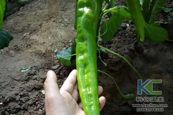 無土栽培，無土栽培基質