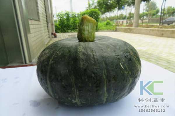 無土栽培，無土栽培技術(shù)，無土栽培設(shè)備