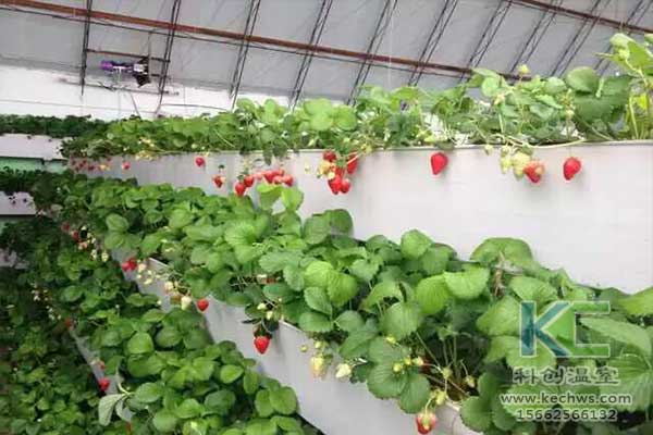 無土栽培，無土栽培技術，無土栽培設備