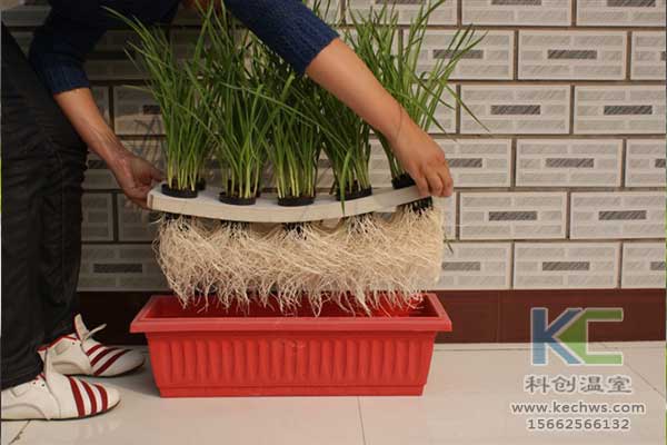 無土栽培，無土栽培技術(shù)，無土栽培設(shè)備