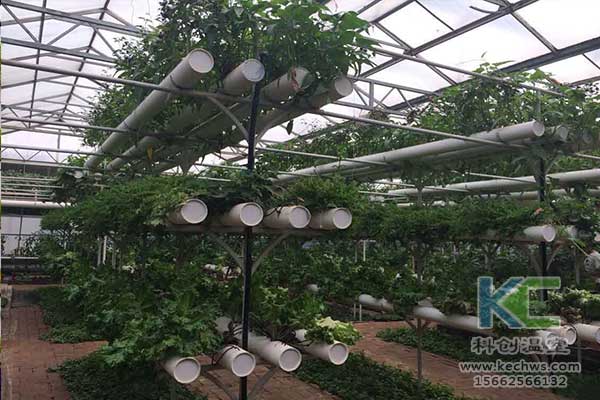 無土栽培，無土栽培技術(shù)，無土栽培設備