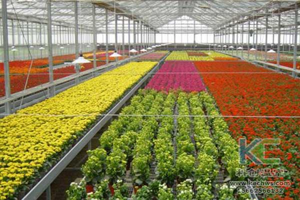 無土栽培，無土栽培技術(shù)，無土栽培設備