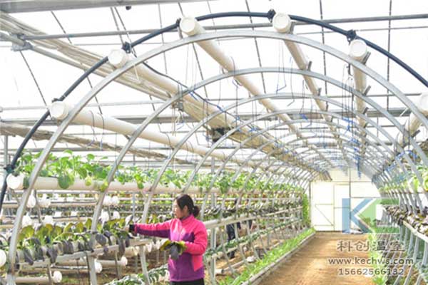 無土栽培，無土栽培技術，無土栽培設備