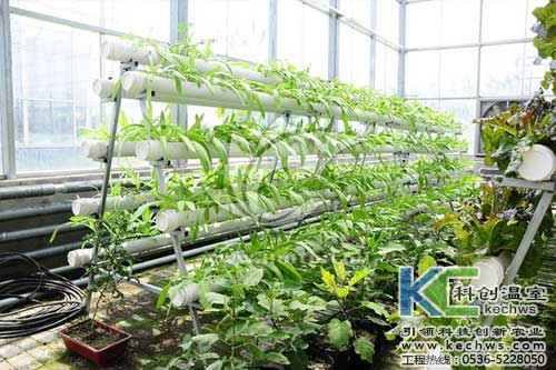 無土栽培，無土栽培技術，無土栽培設備