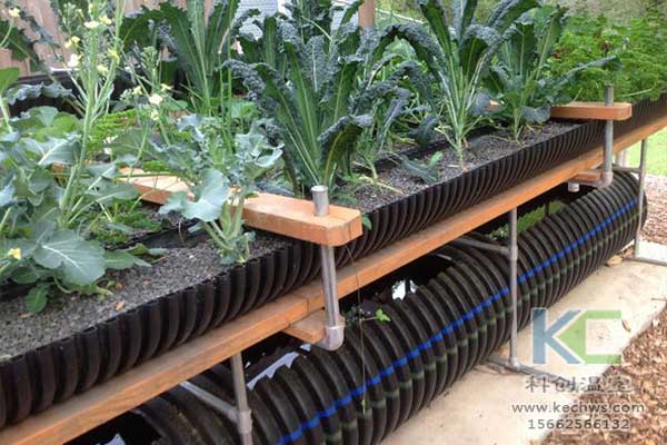 無土栽培，無土栽培技術(shù)，無土栽培設(shè)備