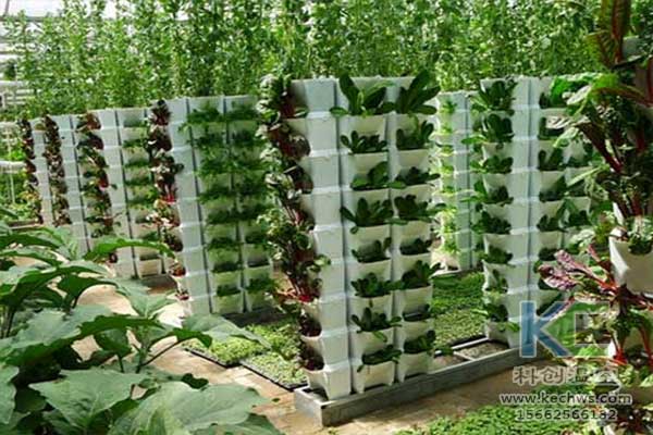 無土栽培，無土栽培技術，無土栽培設備