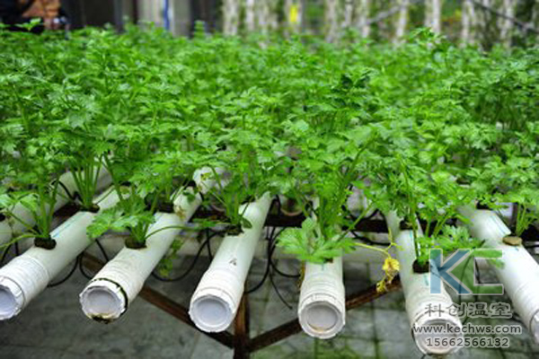 無土栽培，無土栽培技術，無土栽培設備