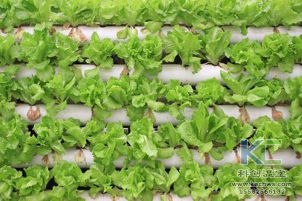 無土栽培，無土栽培技術，無土栽培設備