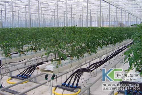 無土栽培，無土栽培技術，無土栽培設備