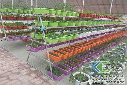 無土栽培，無土栽培技術(shù)，無土栽培設(shè)備