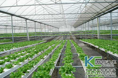 無土栽培，無土栽培技術(shù)，無土栽培設(shè)備