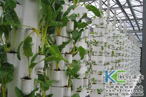 無土栽培，無土栽培技術，無土栽培設備
