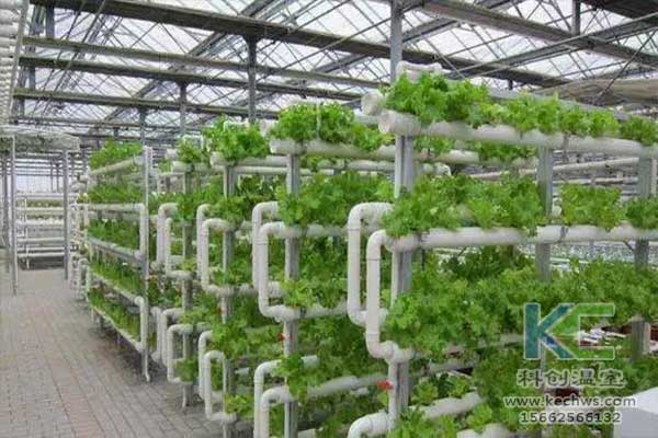 無土栽培，無土栽培技術(shù)，無土栽培設(shè)備