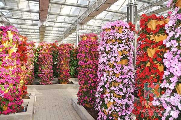 無(wú)土栽培，無(wú)土栽培技術(shù)，無(wú)土栽培設(shè)備