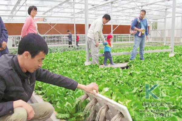 無土栽培，無土栽培技術(shù)，無土栽培設(shè)備