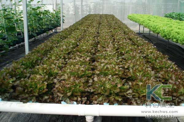 無土栽培，無土栽培技術，無土栽培設備