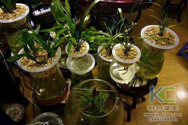 無土栽培，無土栽培技術，無土栽培設備