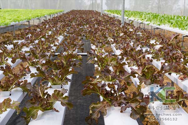 無土栽培，無土栽培技術，無土栽培設備