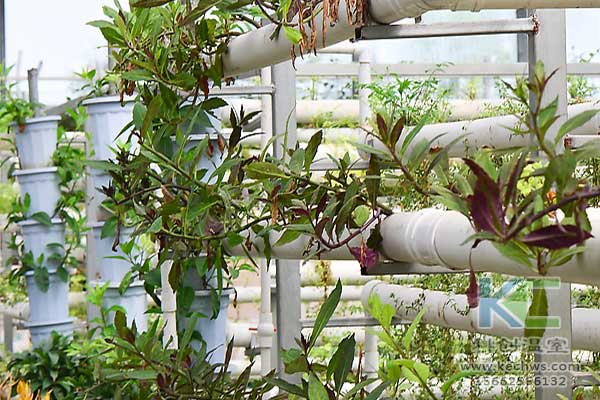 無土栽培，無土栽培技術，無土栽培設備