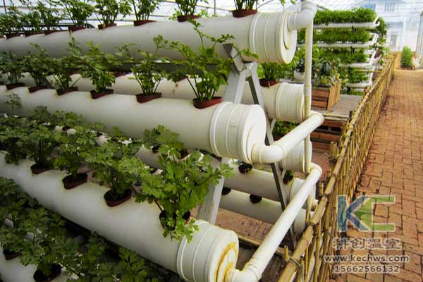 無土栽培，無土栽培技術(shù)