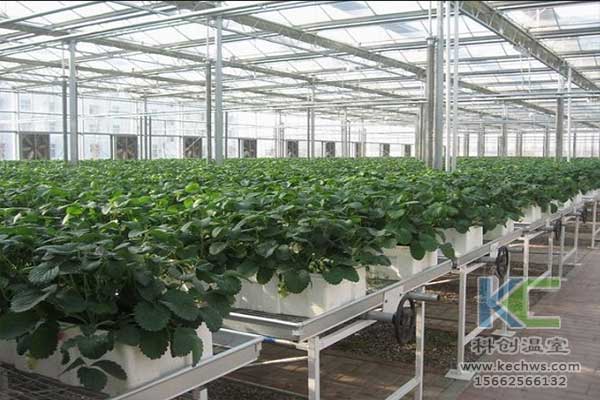 無(wú)土栽培，無(wú)土栽培技術(shù)，無(wú)土栽培設(shè)備