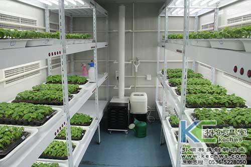 無(wú)土栽培，無(wú)土栽培技術(shù)，無(wú)土栽培設(shè)備