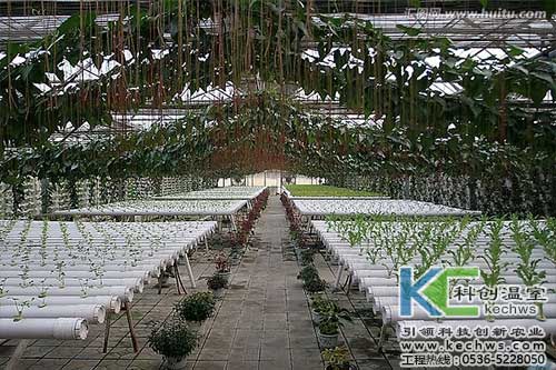 無土栽培，無土栽培技術，無土栽培設備