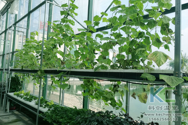 無(wú)土栽培，無(wú)土栽培技術(shù)，無(wú)土栽培設(shè)備