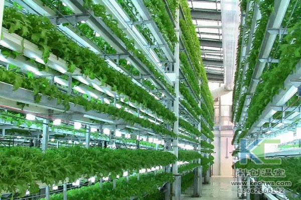 無(wú)土栽培技術(shù)，無(wú)土栽培設(shè)備，無(wú)土栽培，溫室大棚