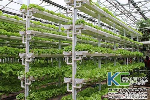 無土栽培，無土栽培技術，無土栽培設備