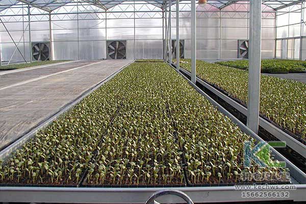 無土栽培，無土栽培技術(shù)，無土栽培設(shè)備