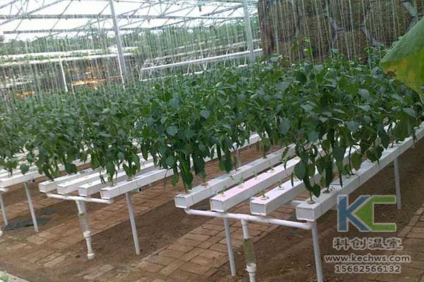 無土栽培，無土栽培技術，無土栽培設備